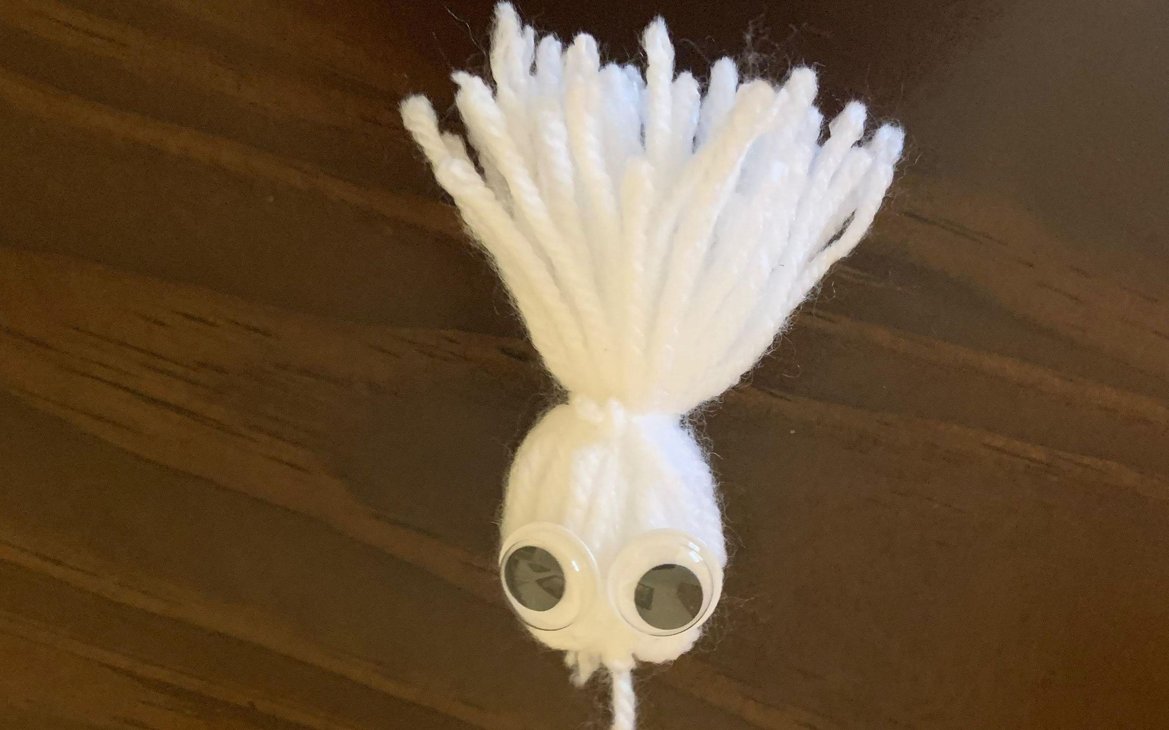 Simple Yarn Ghost Pom Pom