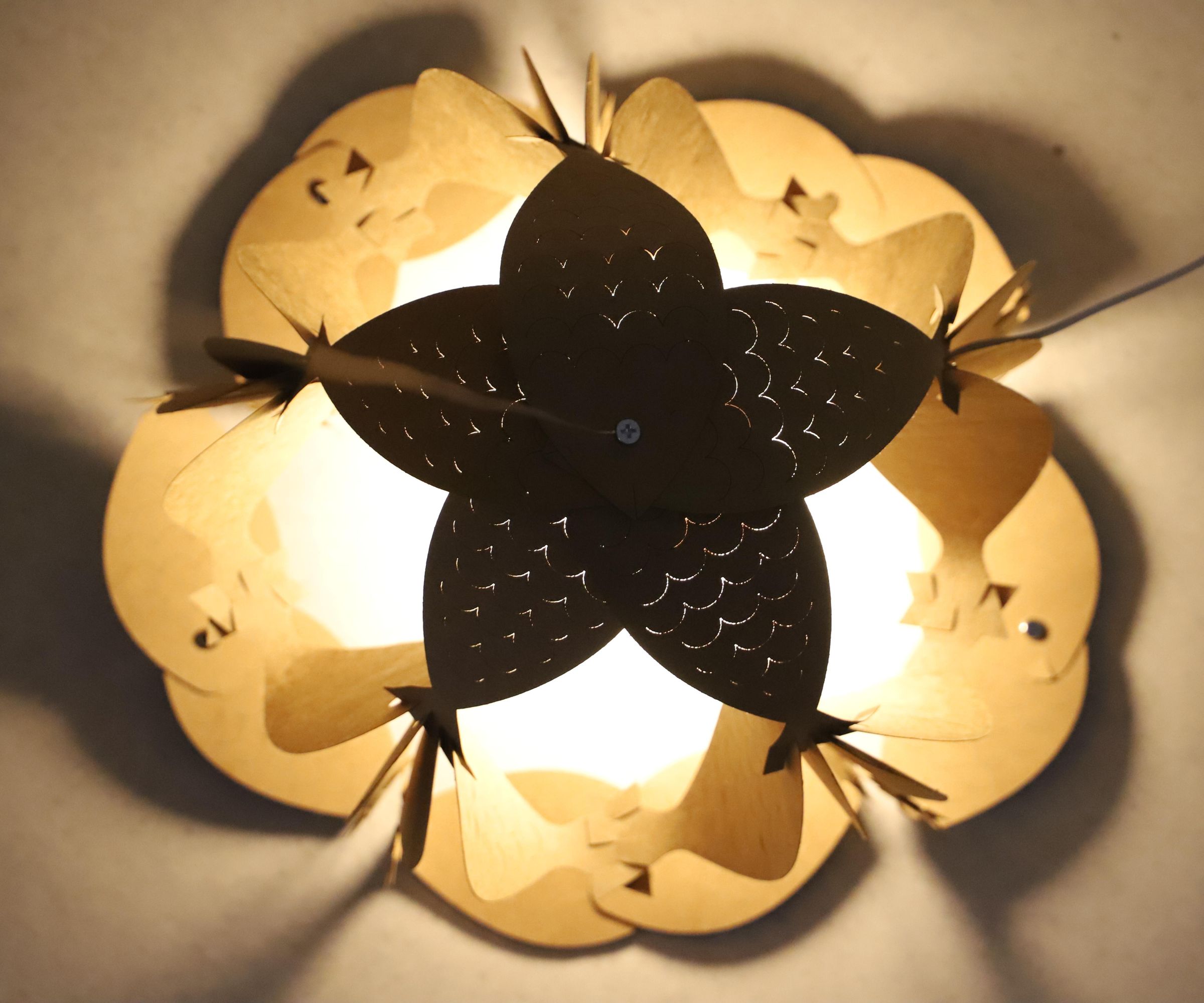 Week 1 Modular Structure: Fish Lamp (Angela Zhang & Huaze Shao)