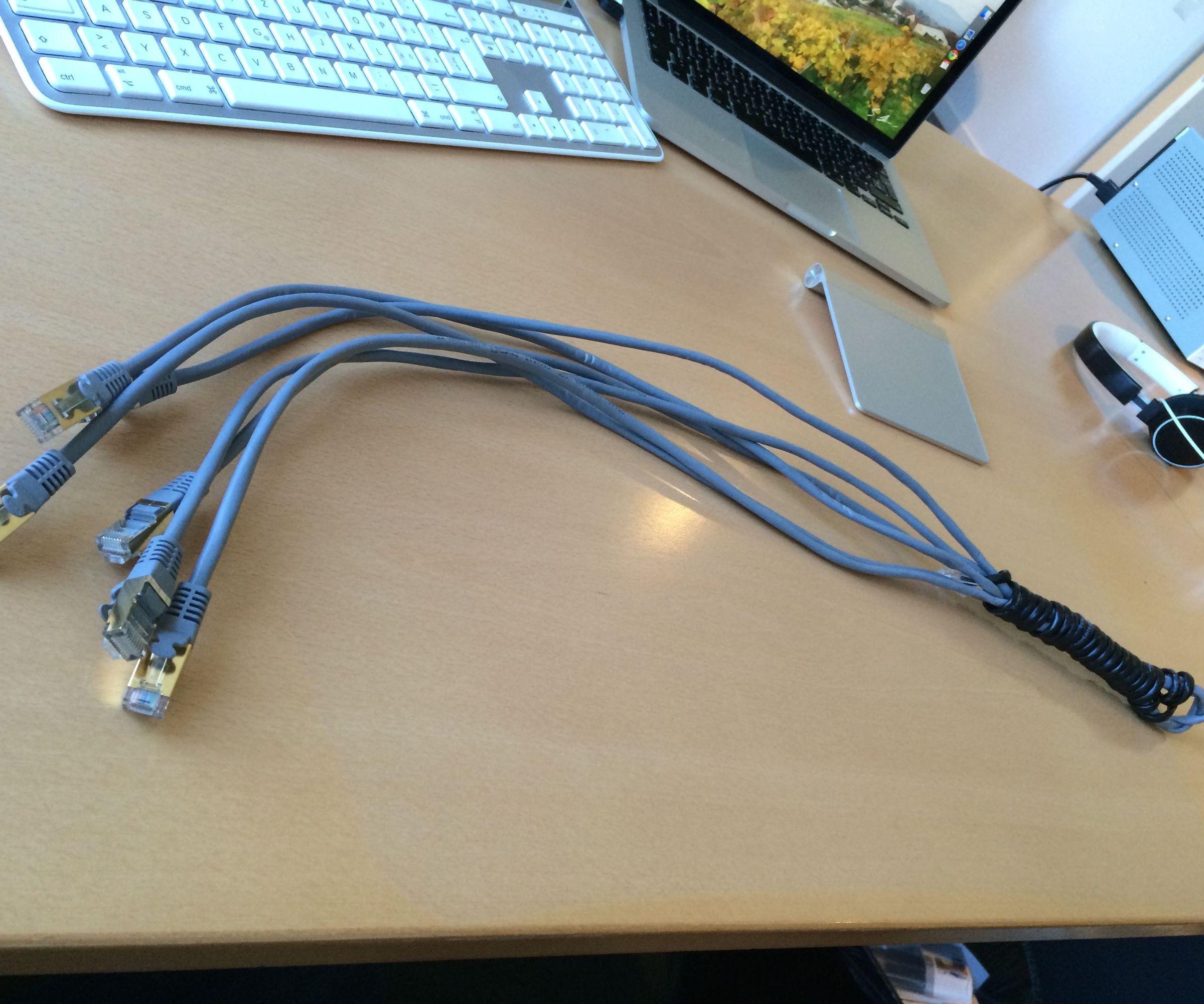 Ethernet Cable Whip