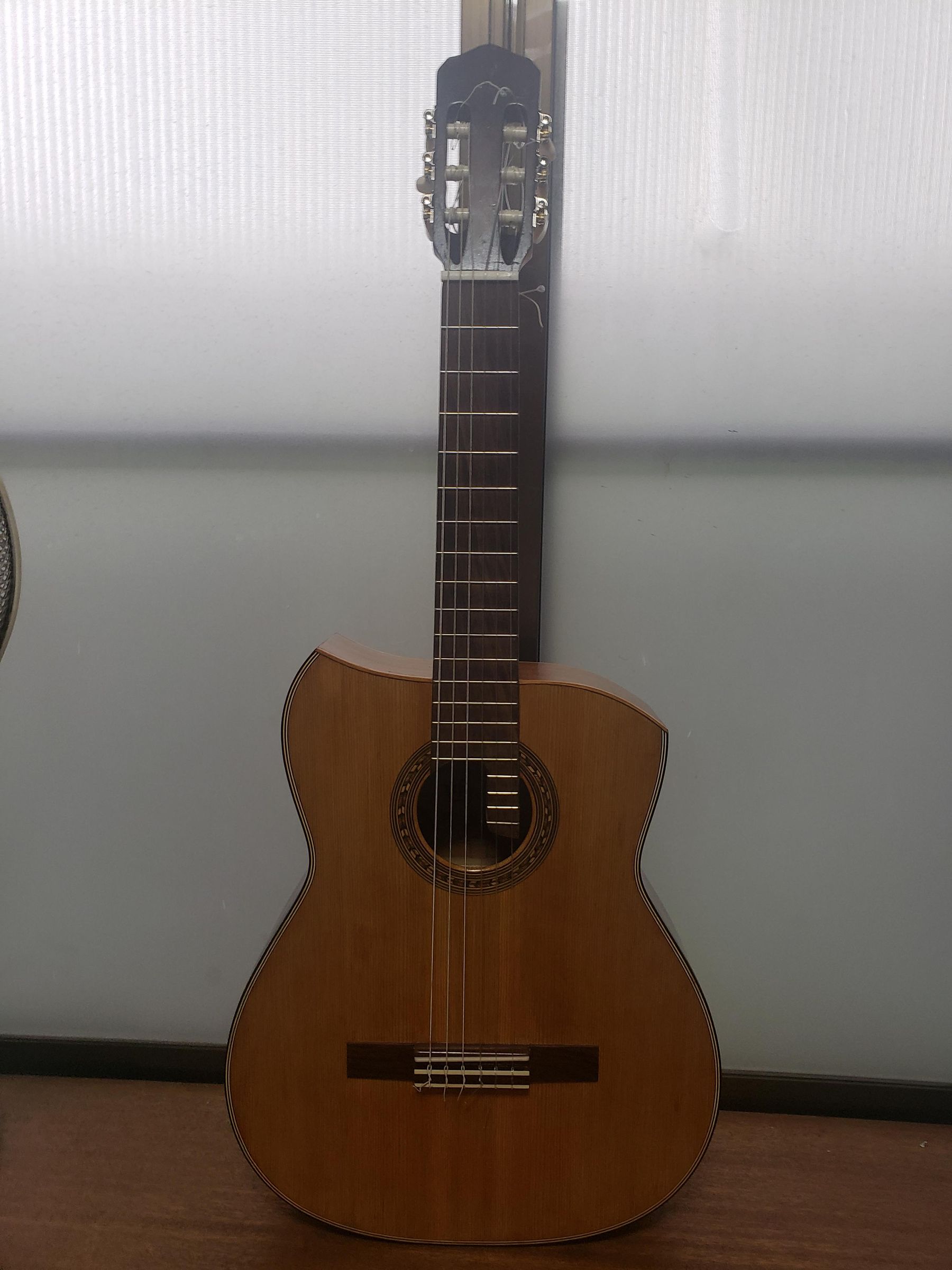 Converting a Classical Guitar Into a "Frankenstein" Terz Guitar (with