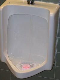 How to Execute the Fink Toilet Prank.