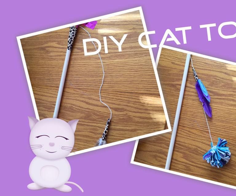DIY CAT TOYS