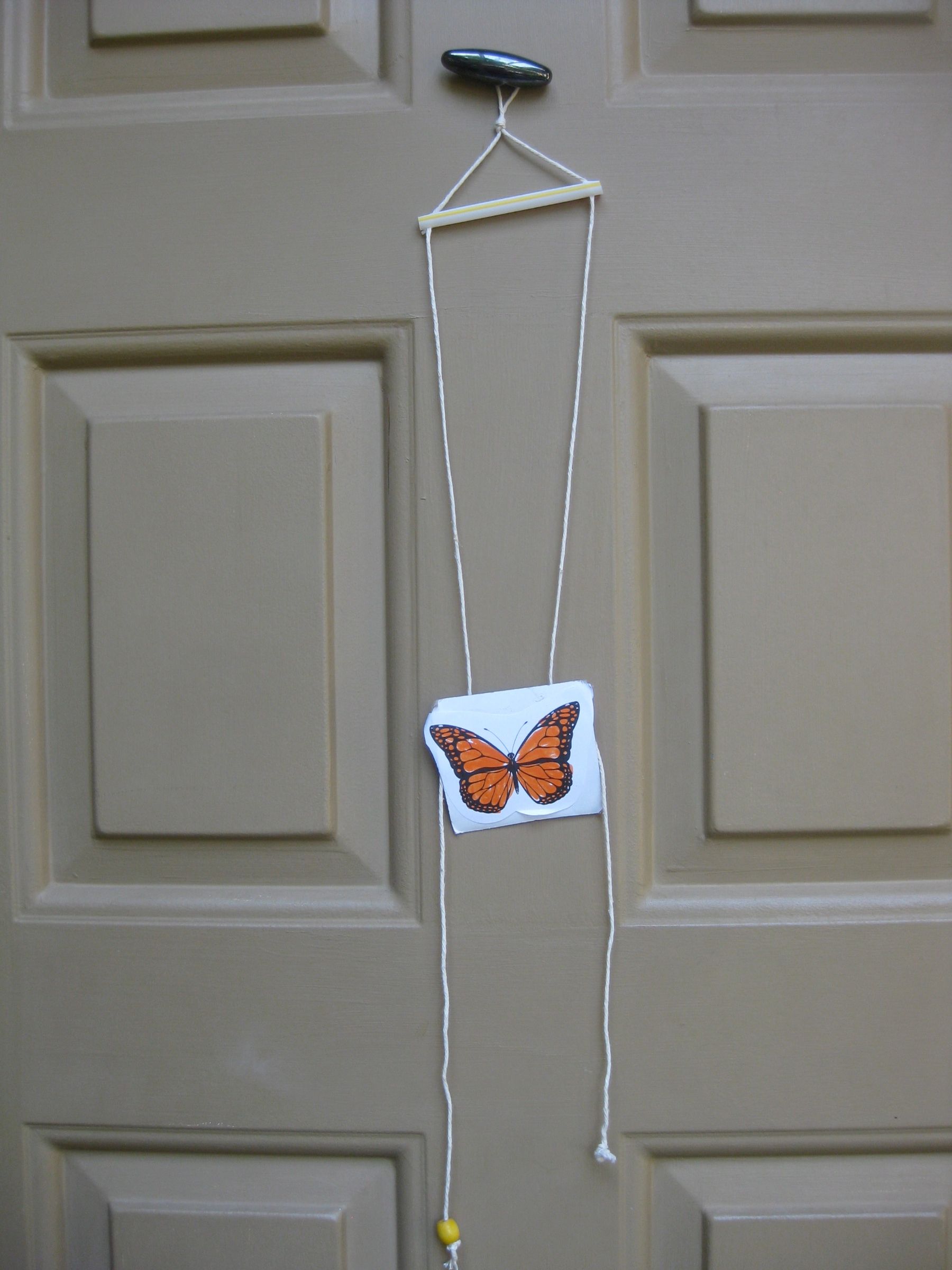 Migrating Monarch Butterfly