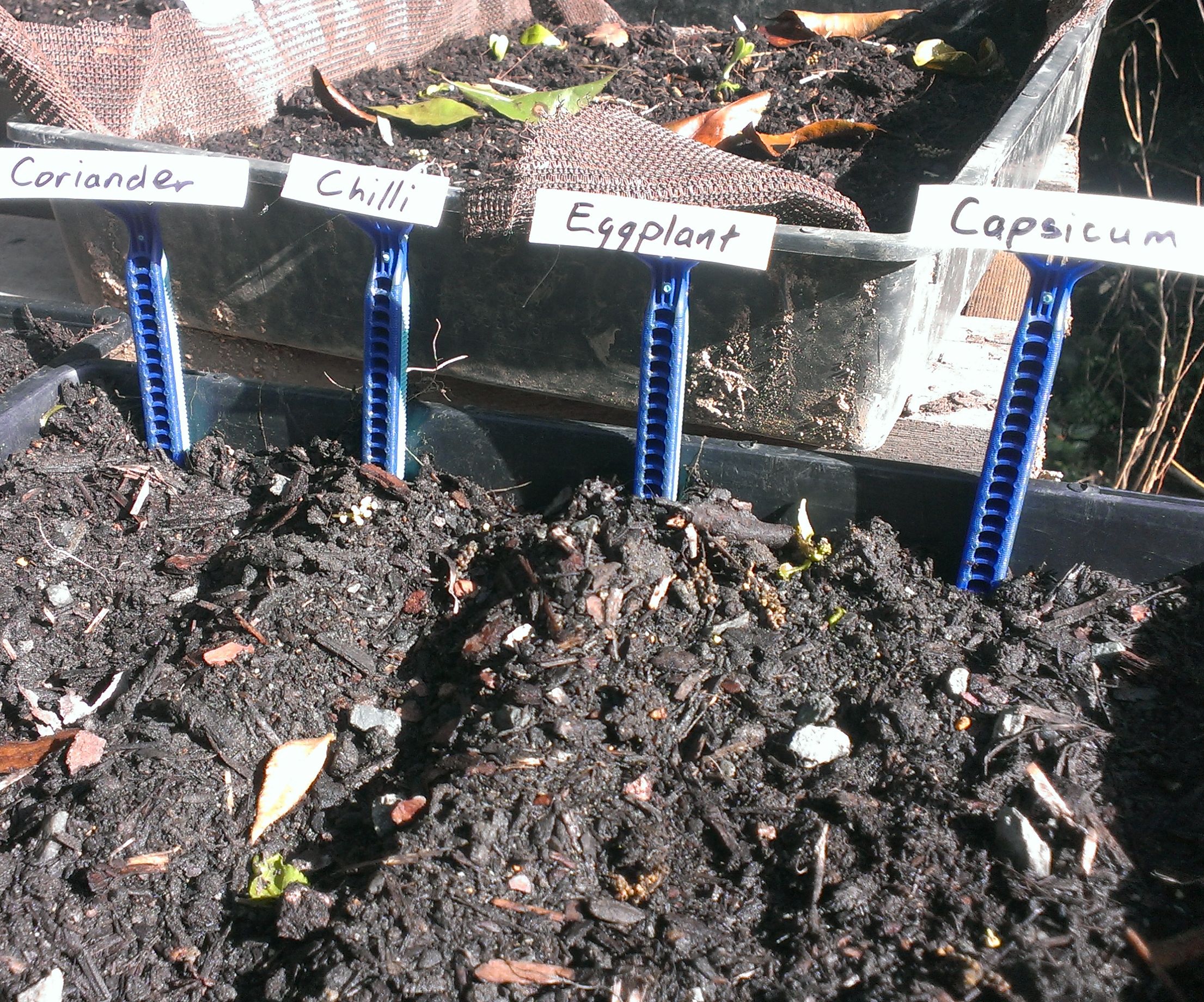 Plant Labels From Disposable Razors