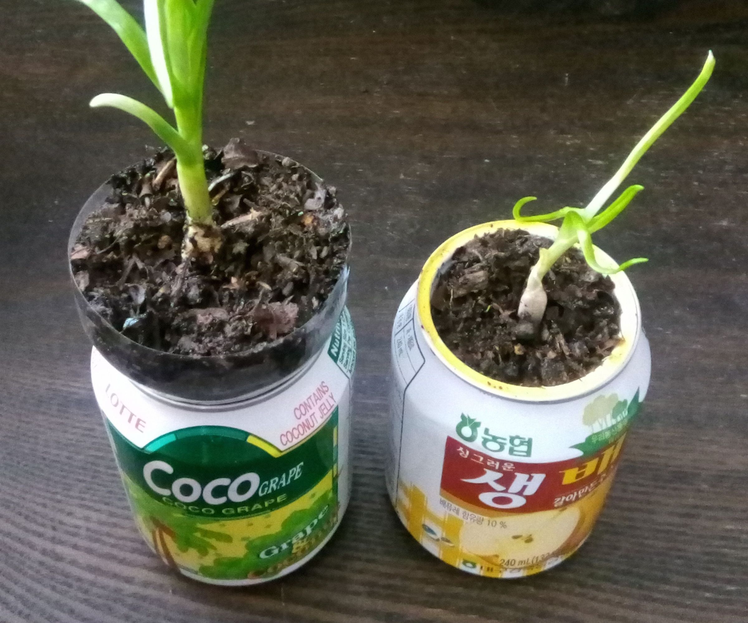 Self Watering Soda Cans With Electronic Water Meter