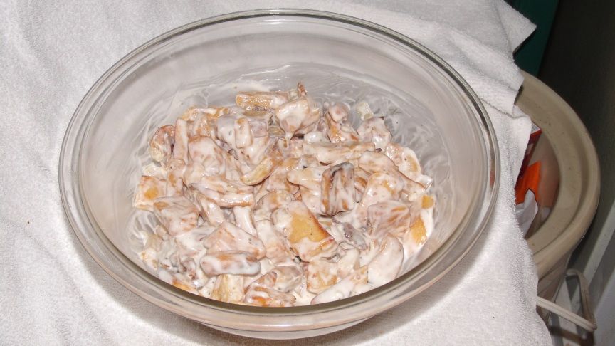 EZ Frenchfry Salad or Not, Gma's Tater Salad