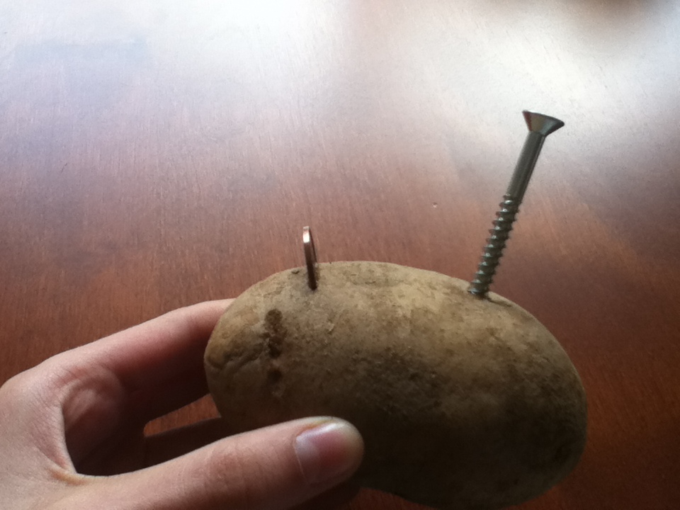 Wet Cell Battery out of Food