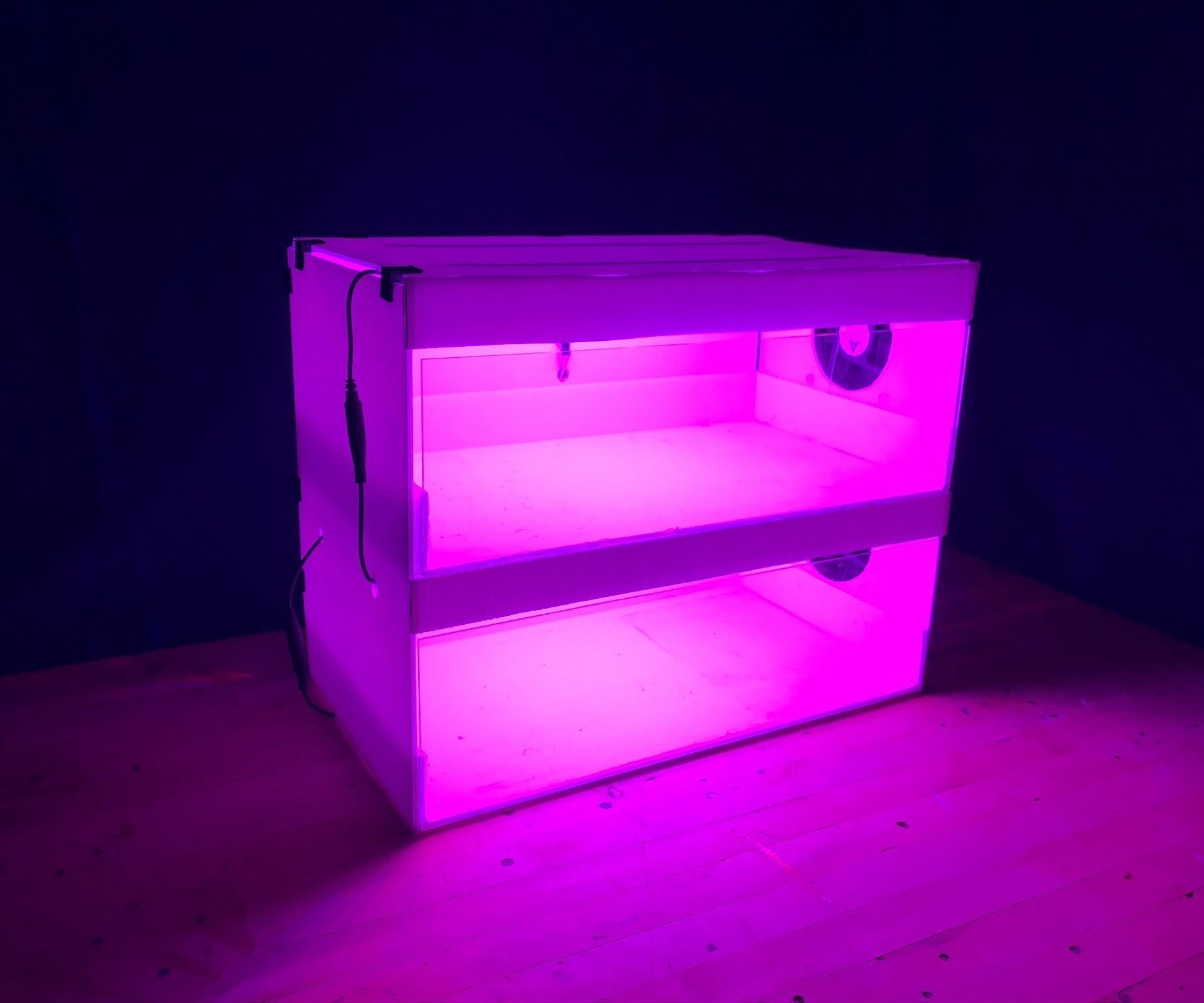 Growing Microgreens in Space