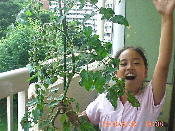 A Choice of Containers to Grow Plants - Part 3