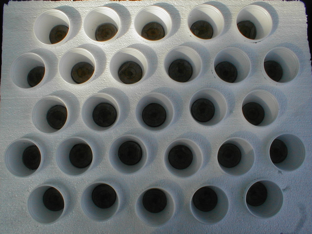 Hydroponic Float System