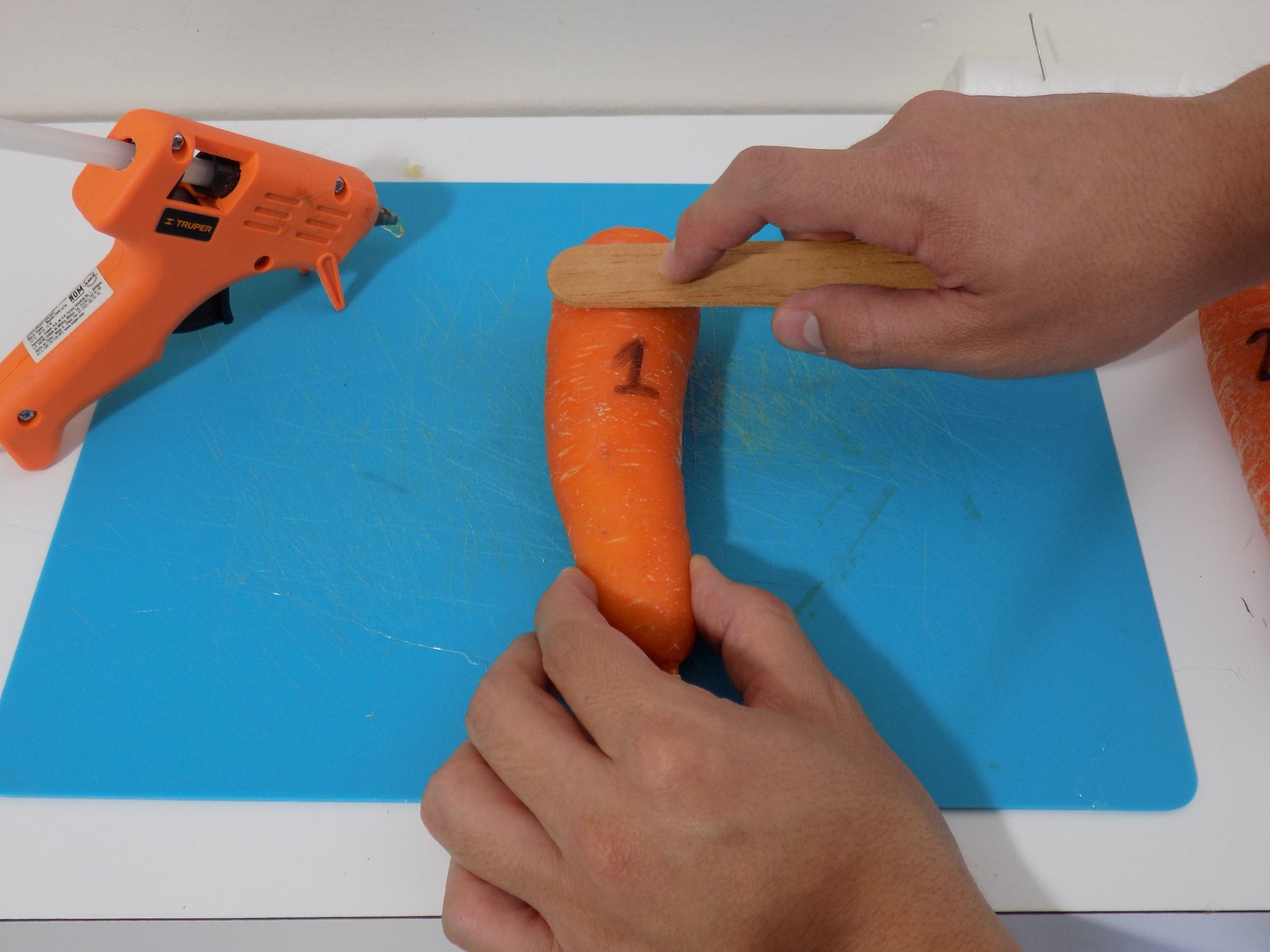Carrot Pan Flute 4 Steps (with Pictures) Instructables