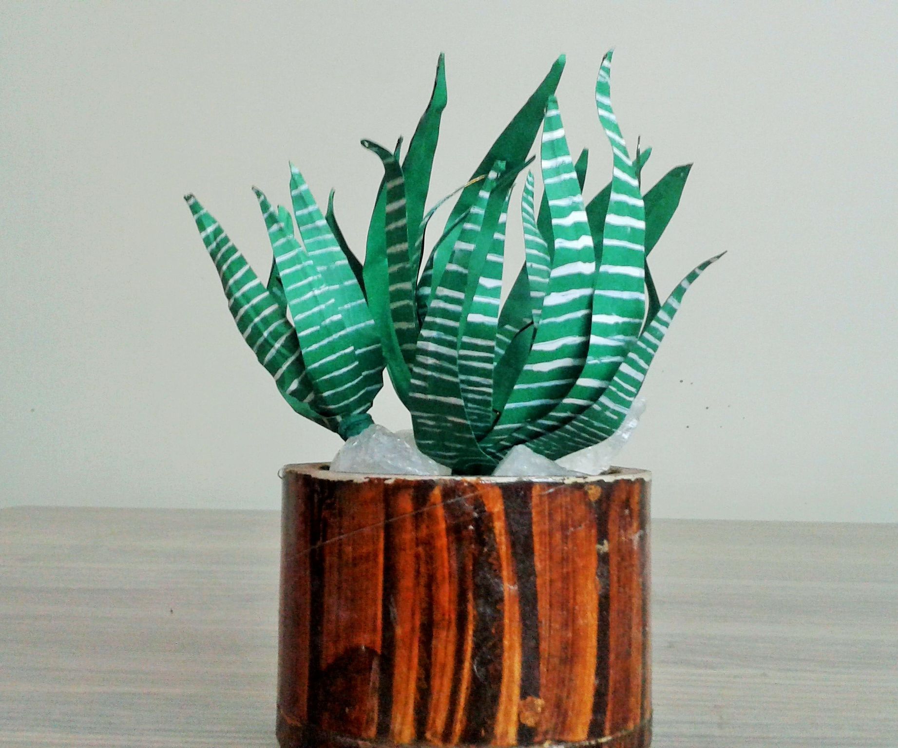 How to Make Paper Zebra Cactus