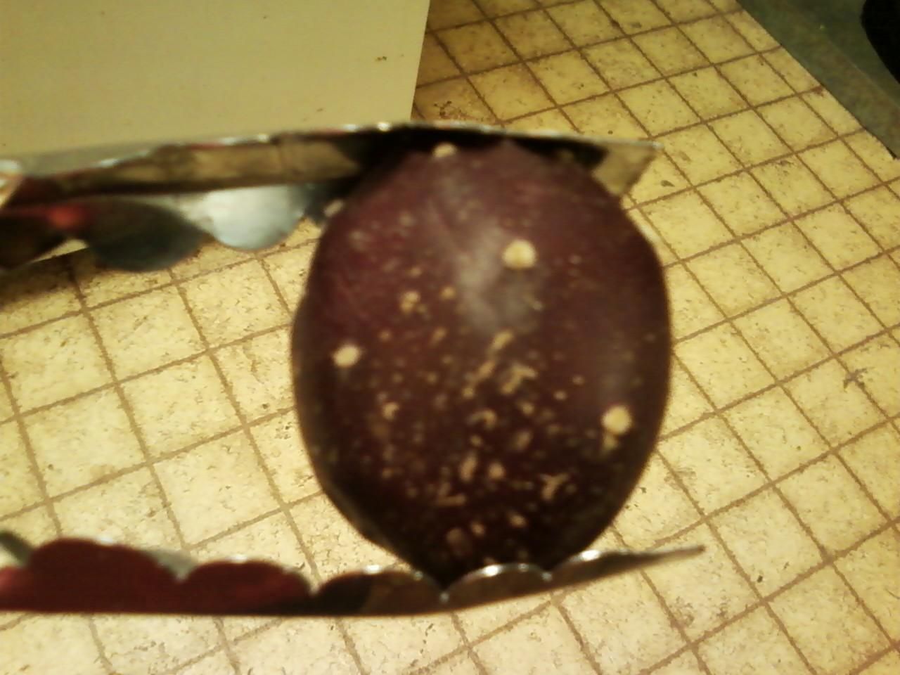 Purple Cactus Chicken