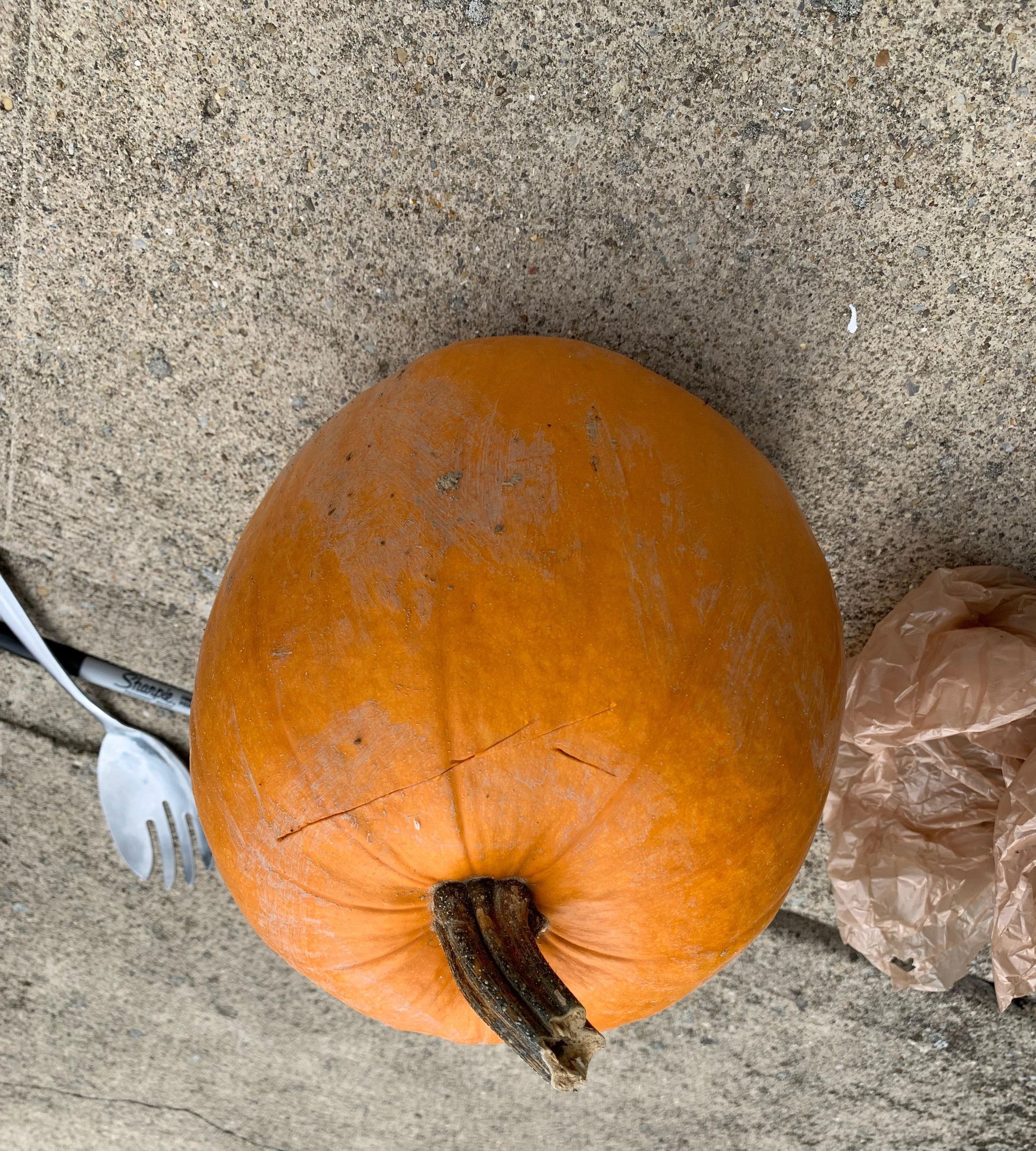 Pumpkin Face Mask
