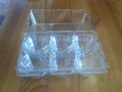 Mini Greenhouse With Plastic Egg Carton