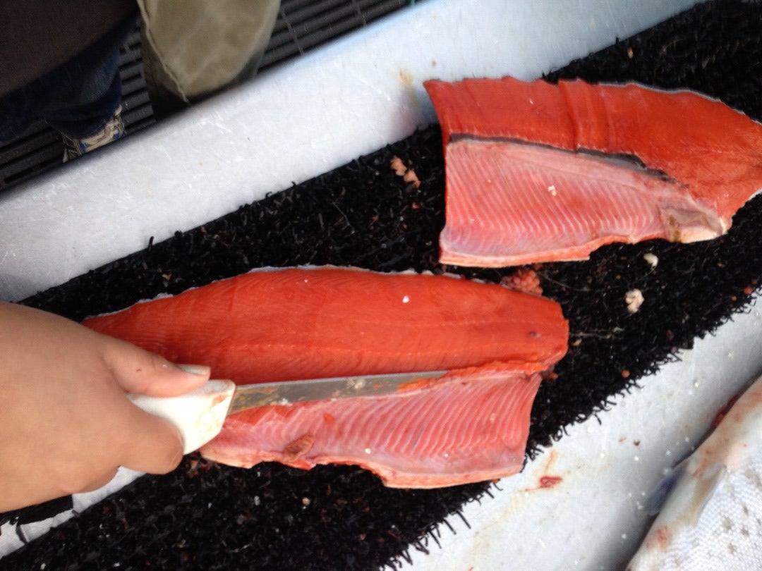 how to clean salmon fish