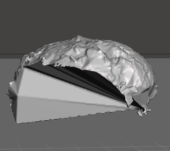 Meshmixer - Shaping and Brushes