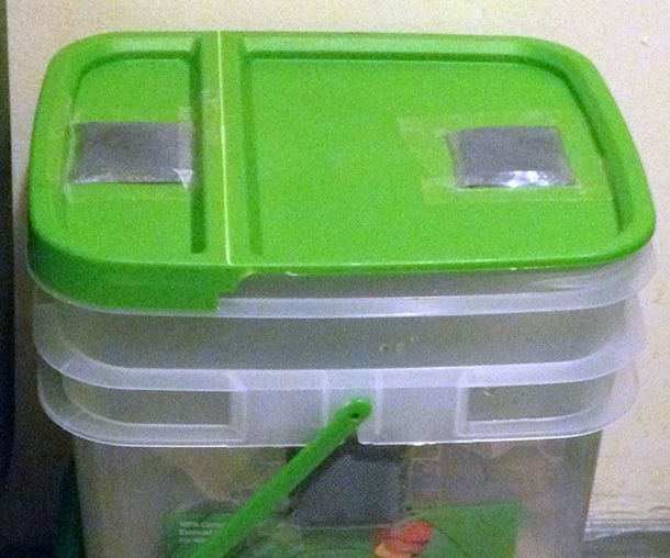 Make an Apartment-sized Indoor Compost Bin