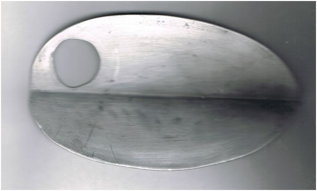 The T Leaf : a.k.a. Toilet trowel