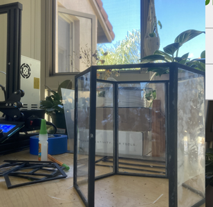 Printing the Frames