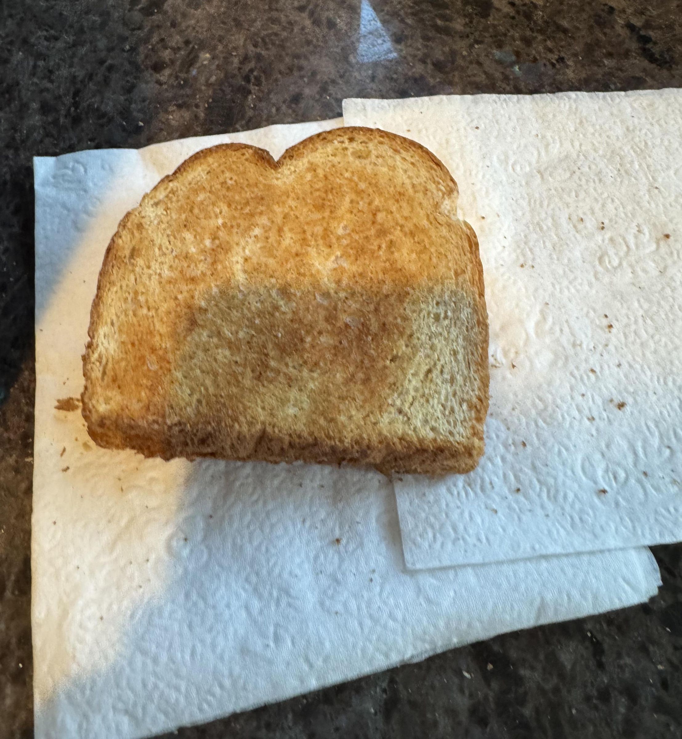 Toasted Nutella Sandwich