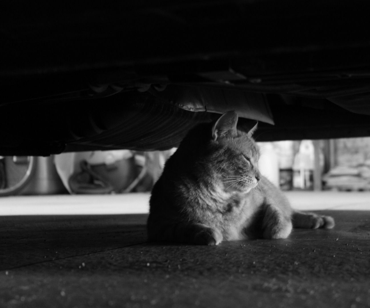 Tips for B&W Photography