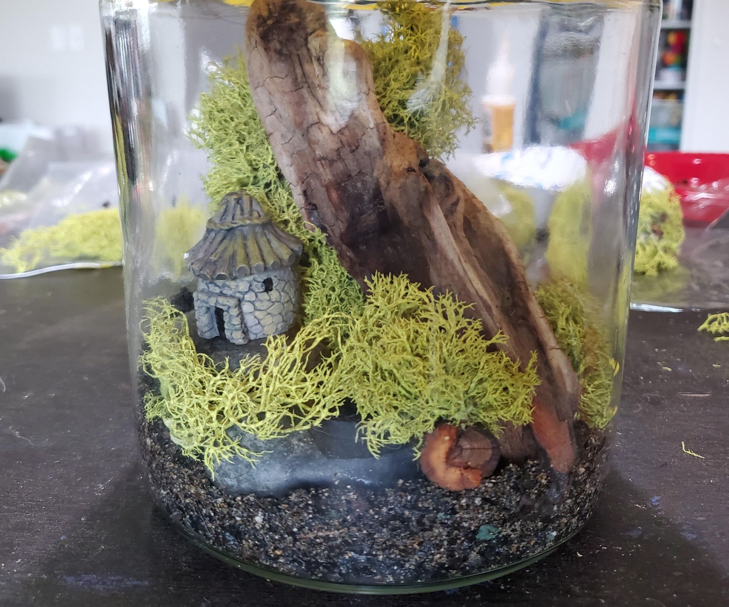 DIY Closed Moss Terrarium