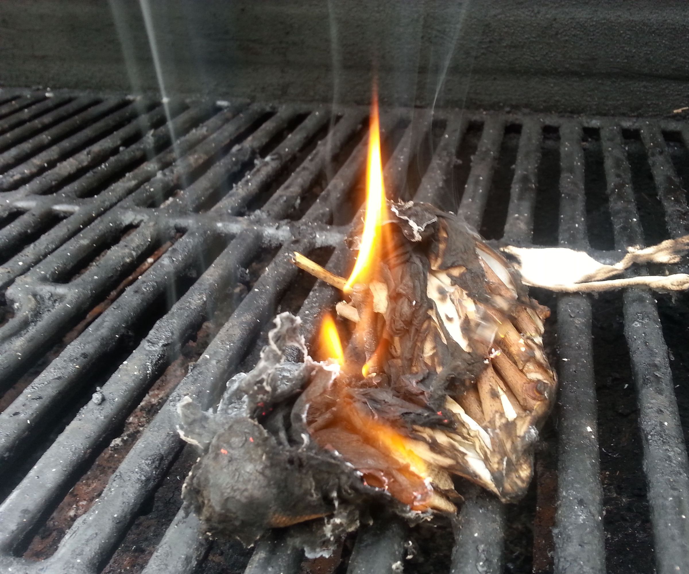 DIY Fire Starter 