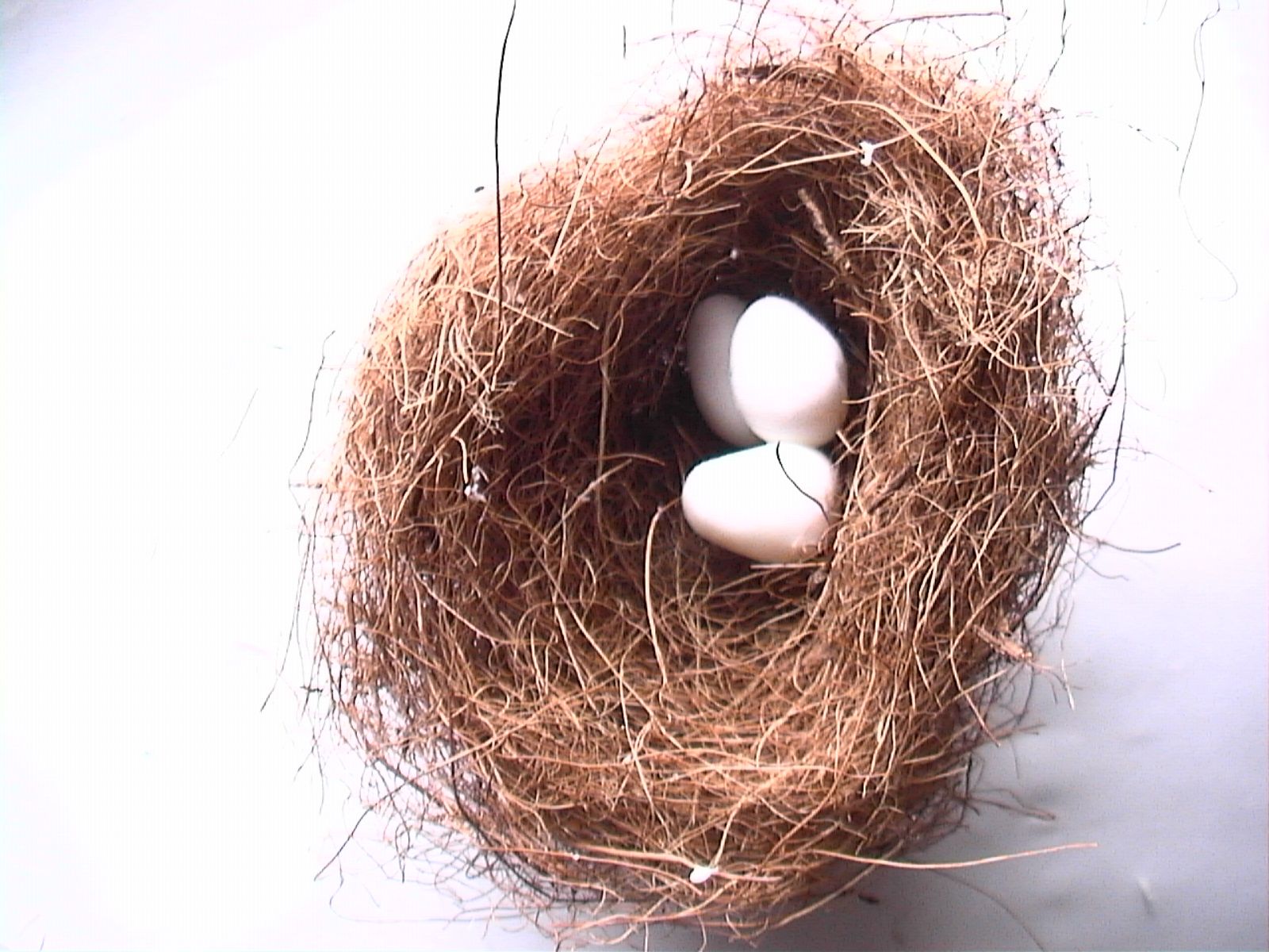 Make a Bird's Nest & Eggs (Slideshow) Instructables