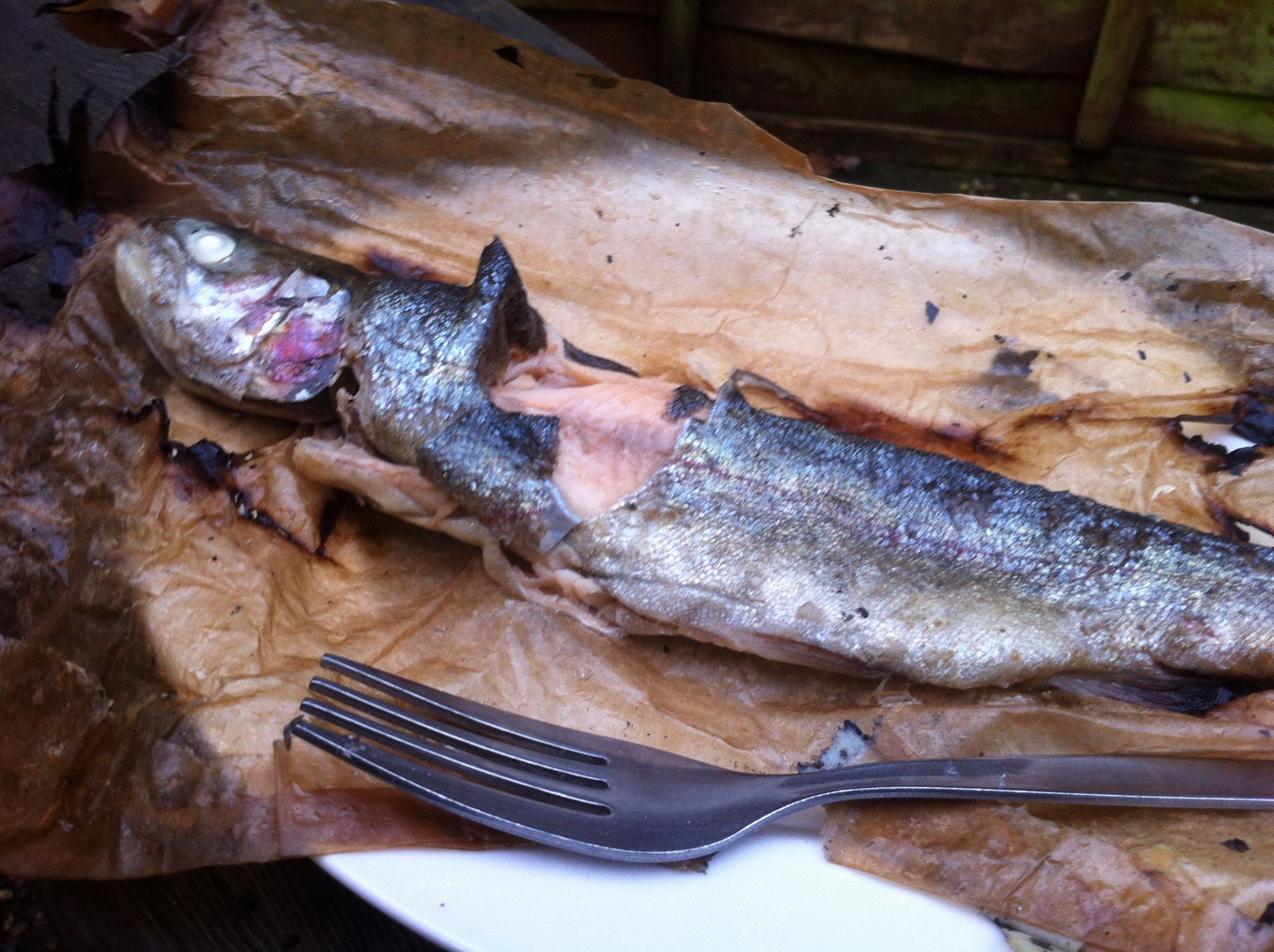 Cooking a Fish in Newspaper