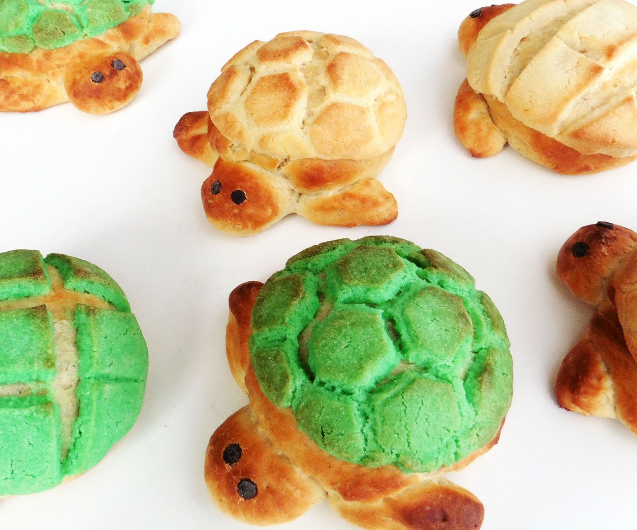 Turtle Bread: Tortuga Conchas