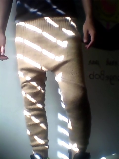 Low Crotch Swants (Easy Swants)