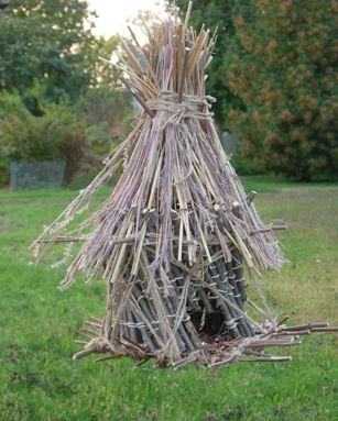 Bird House for Permaculture Design