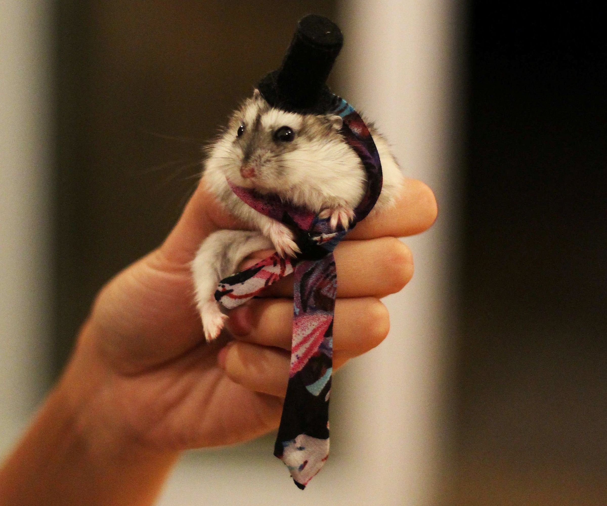 Suit Up!