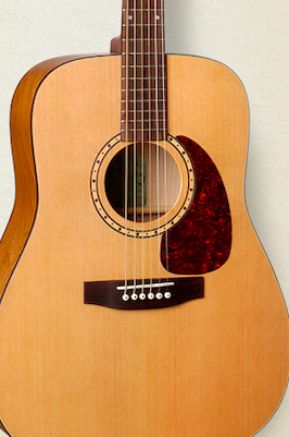 ACOUSTIC GUITAR “STEALTH” PICKUP
