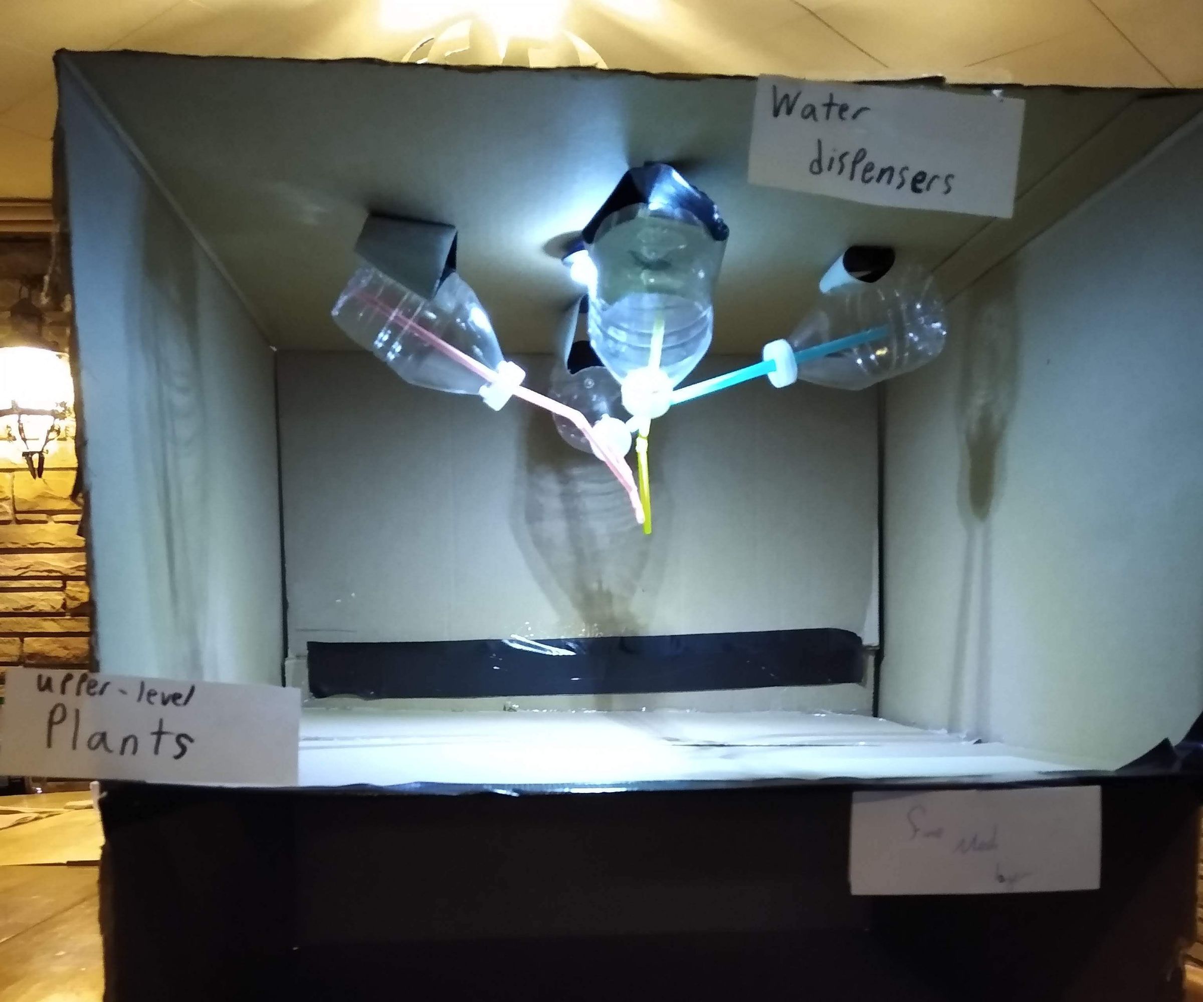 Multi-Level Space Growing Chamber (High School Entry)