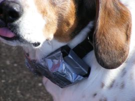 best vibration collar for deaf dog Anti-Bark Vibrating Dog Collar | Dog training main image 1
