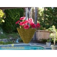 Buy the New Wrought Iron Hanging Baskets for Your Hanging Plants at Home