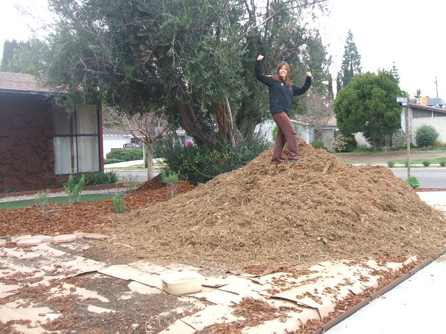 Free Mulch