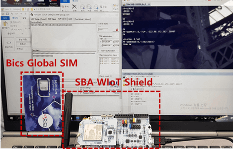 Insert a Bics USIM Into Cat.M1 Module(Quectel BG96)