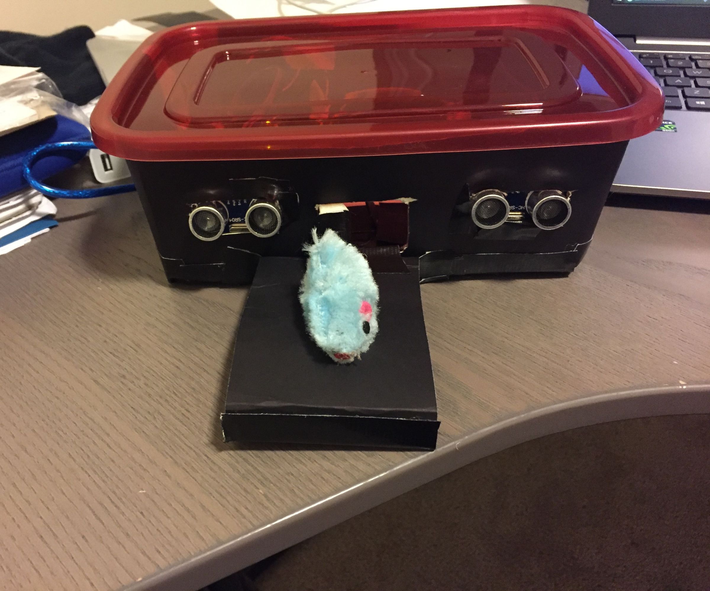 Sad Cat Fixer: the Jerry 2000