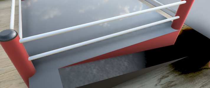 Upper Body/Boxing Training Room