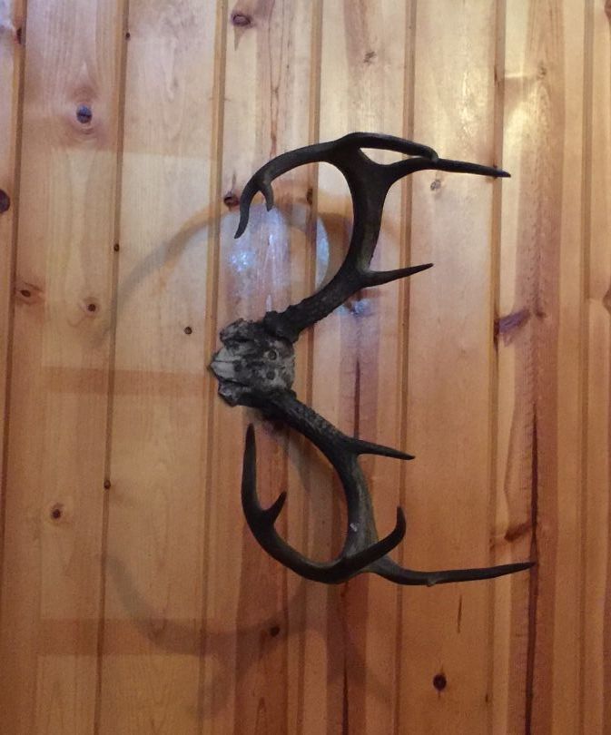 Antler Rack