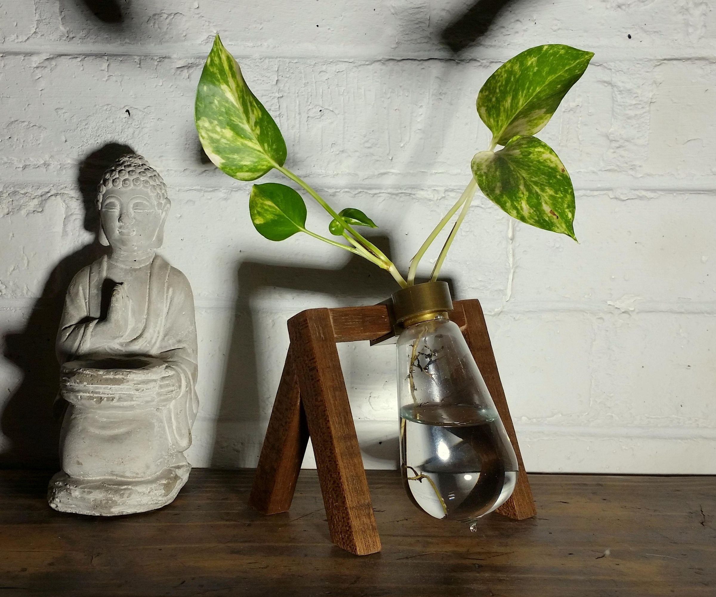 Repurpose Old/Blown Light Bulbs