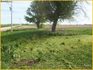 The Stone House - The Proper Way To Plant A Tree