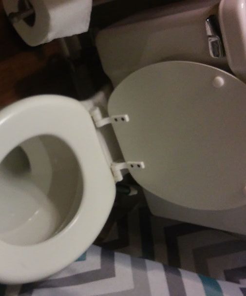 Chemical Free Toilet Scrub