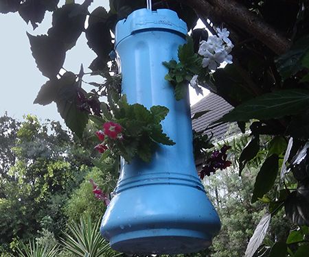 Recycle Pool Floater Into Hanging Plant Holder