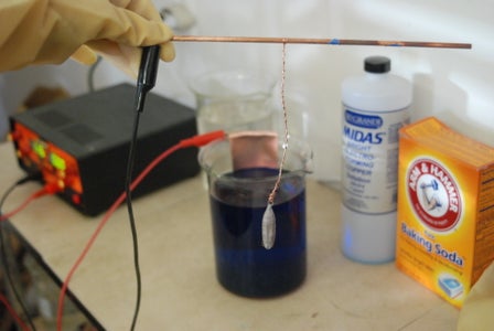 Electroforming an Iris Seed Pod