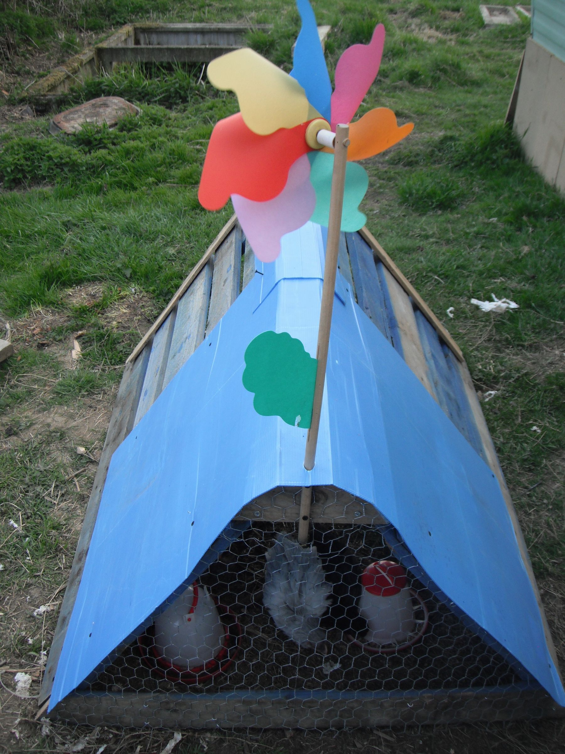 CHICKEN RUN MADE FROM RECYCLED SHIPPING PALLETS