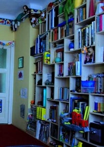 Parametric Shelf With Reciprocal Frame